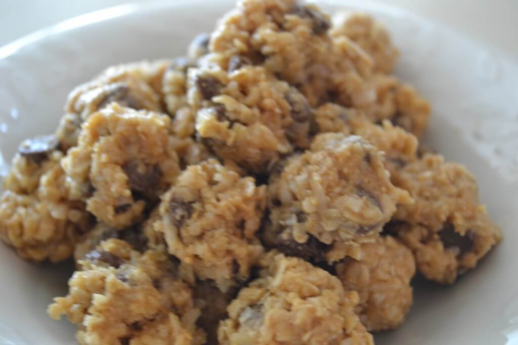No-Bake Protein Energy Bites