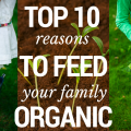 Reas these 10 reasons why organic food is a better option for your family.
