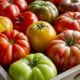 How to Can Tomatoes to Avoid BPA--Canning 101 for Beginners 5