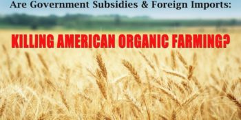 How Subsidies & Imports are Killing Organic Farming in the US