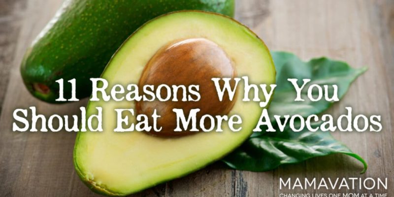 Eat More Avocados: 11 Reasons Why You Should