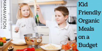 Organic Kid Friendly Recipes