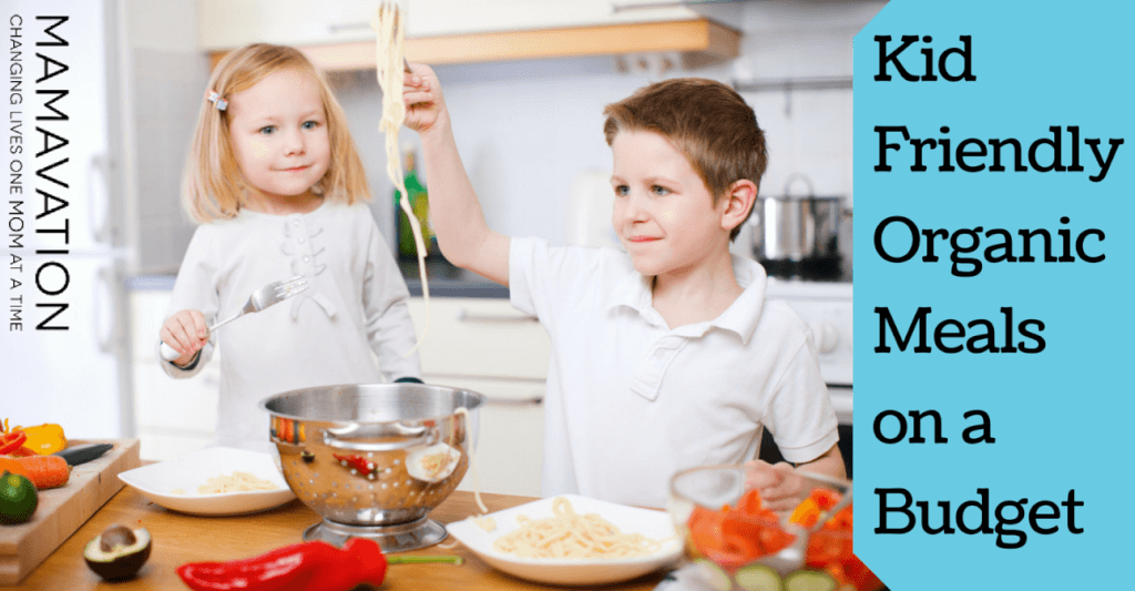 Organic Kid Friendly Recipes Mamavation - 