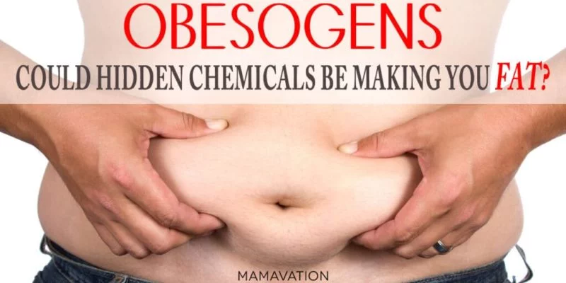 Obesogens: The Hidden Chemicals That Can Make Your Family Fat