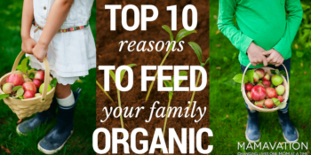Top 10 Reasons to Feed Your Family Organic Food 2
