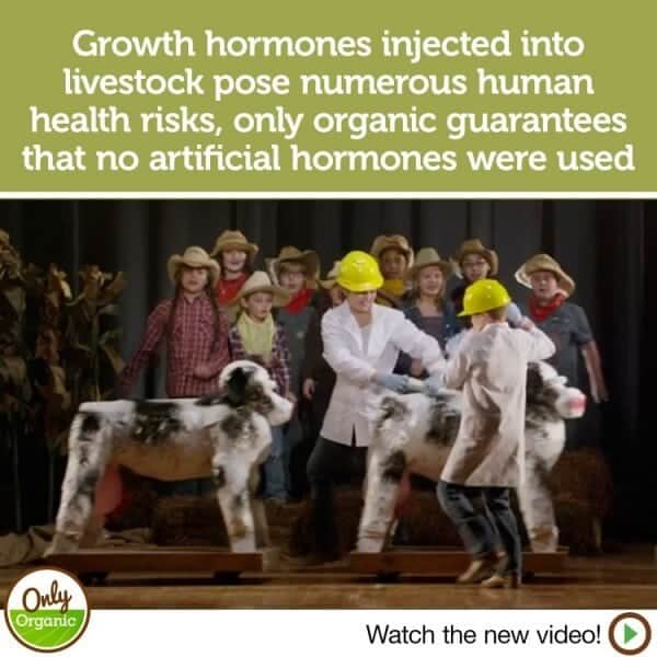 Choose Organic Food and Avoid Growth Hormones.