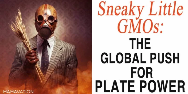 Sneaky Little GMOs: The Global Push for Plate Power