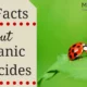 Organic Pesticides: The Facts That You Need To Know