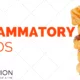 12 Inflammatory Foods 1