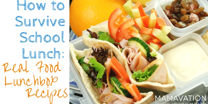 Real Food Lunchbox Recipes: How to Survive School Lunch 1