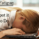 Adrenal Fatigue: How to Spot it and What to Do 1