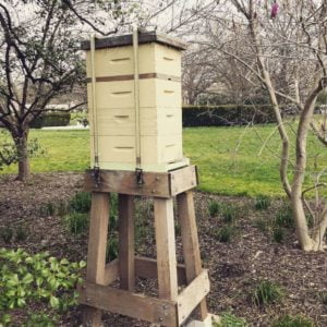 White House Beehive