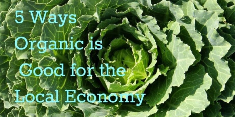 Organic food farming: 5 Ways it's Good