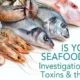 Is Seafood Safe? Investigation of Fish, Toxins & the Ocean 1