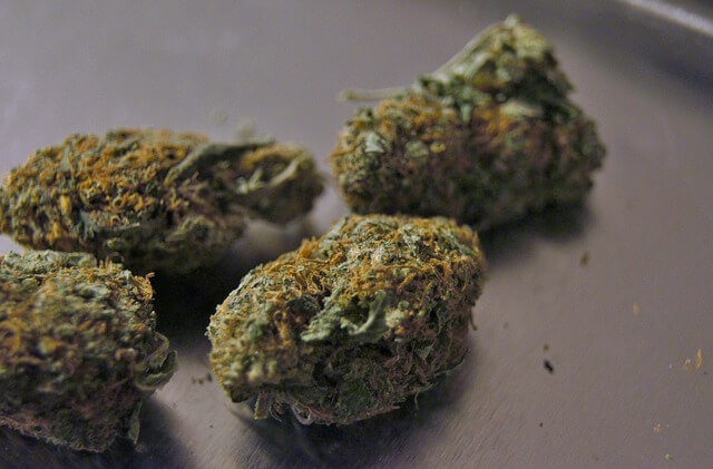 marijuana-dried
