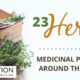 Medicinal Herbs: 23 Herbs From Around the World 1