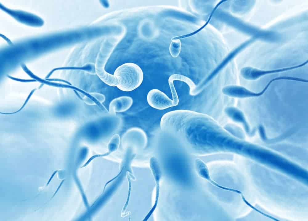 sperm count declining