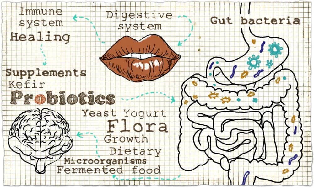 probiotics myths and truths