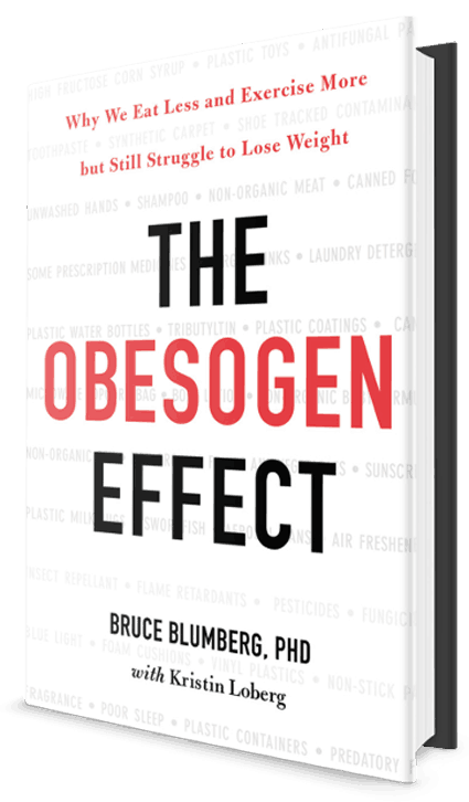 obesogens and weight gain