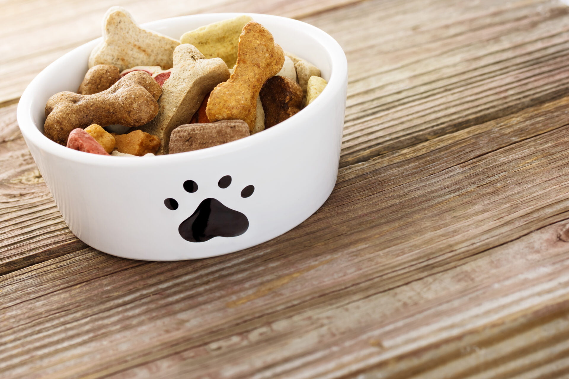 Natural organic non-toxic Dog food in a bowl on wooden table