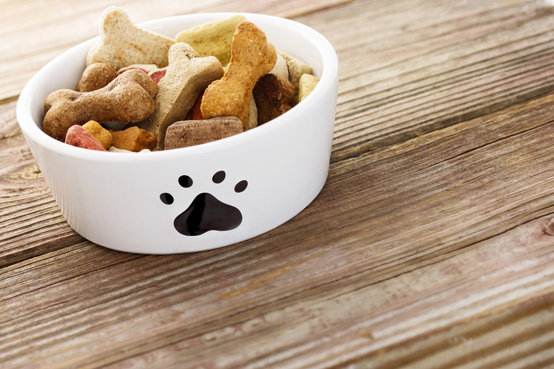 26 Common Foods and Liquids That Are Poisonous to Dogs - GoodRx