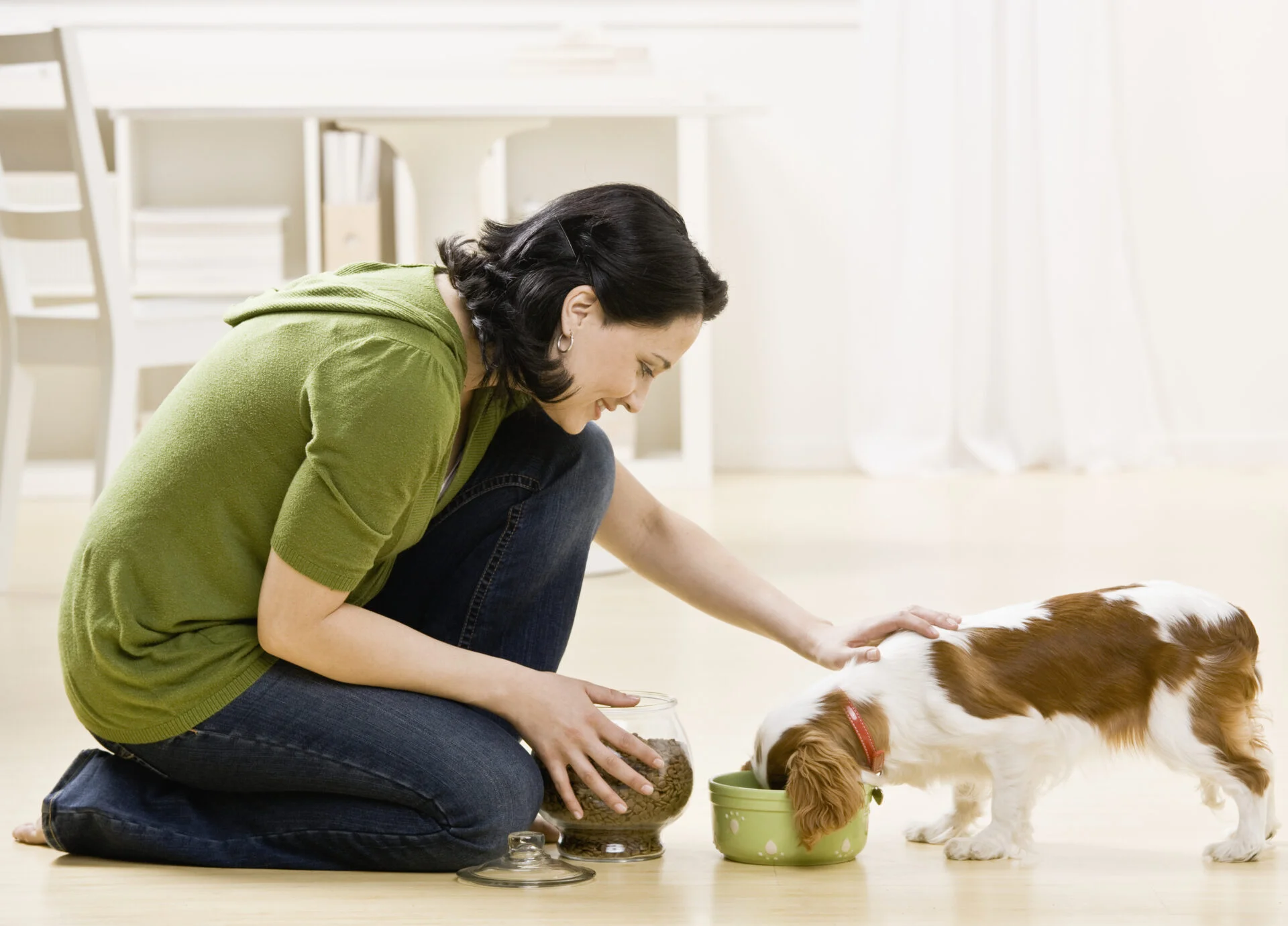 Woman feeding and petting puppy