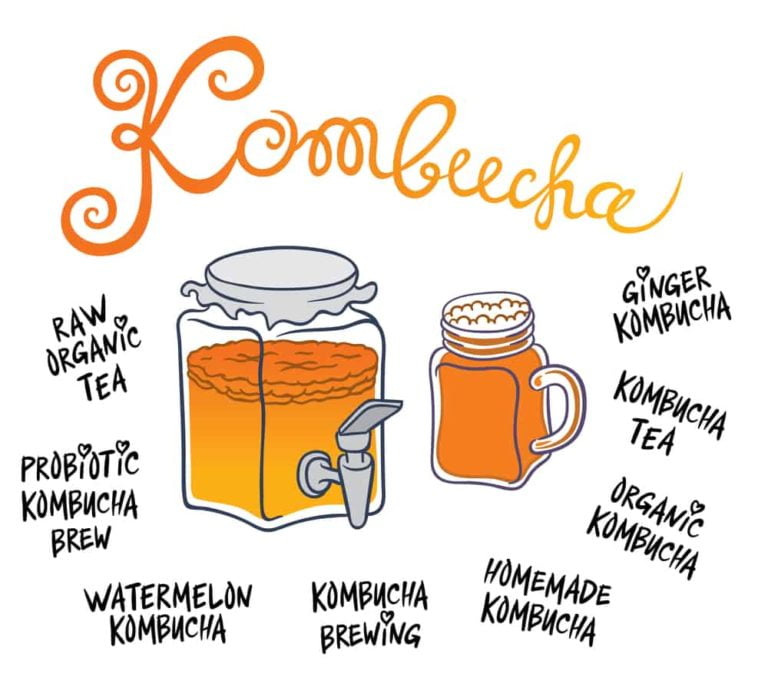 How to Make Your Own Homemade Kombucha Tea In Your Kitchen