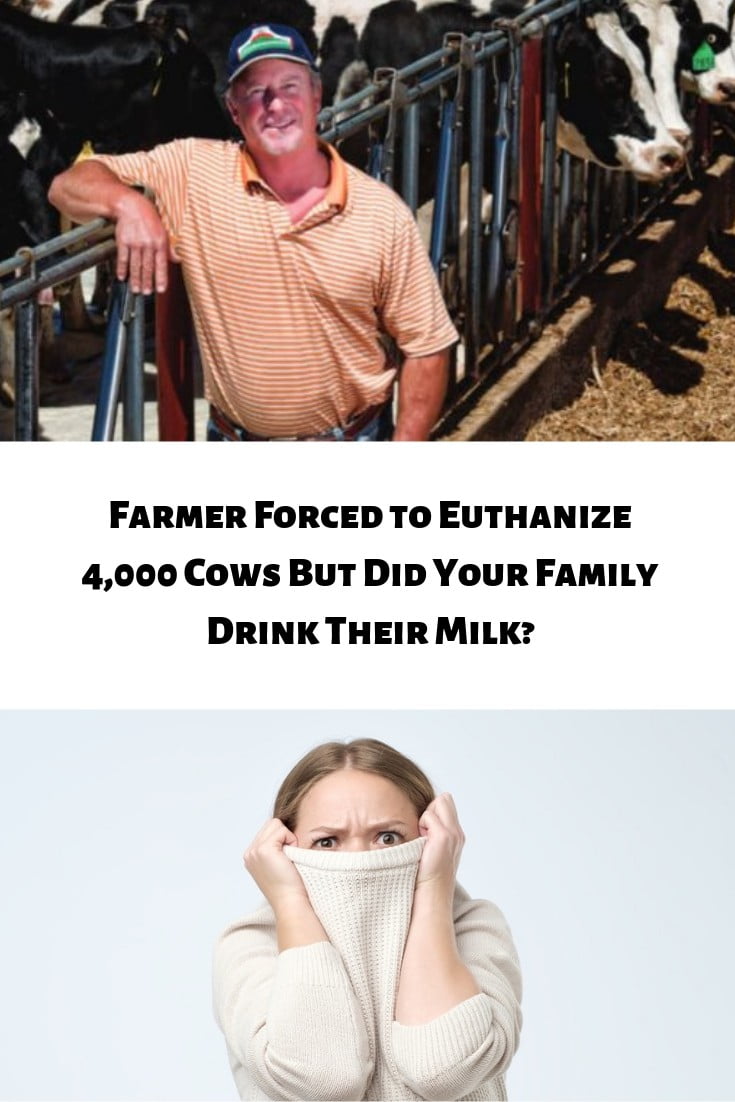 Feds Force Farmer to Euthanize 4,000 Cows, But Could This Affect Your