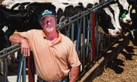 Feds Force Farmer to Euthanize 4,000 Cows, But Could This Affect Your Dinner? 7
