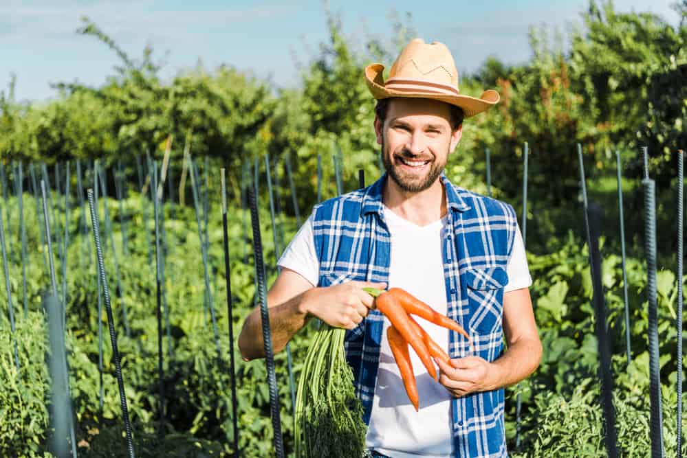 farmer holding carrots