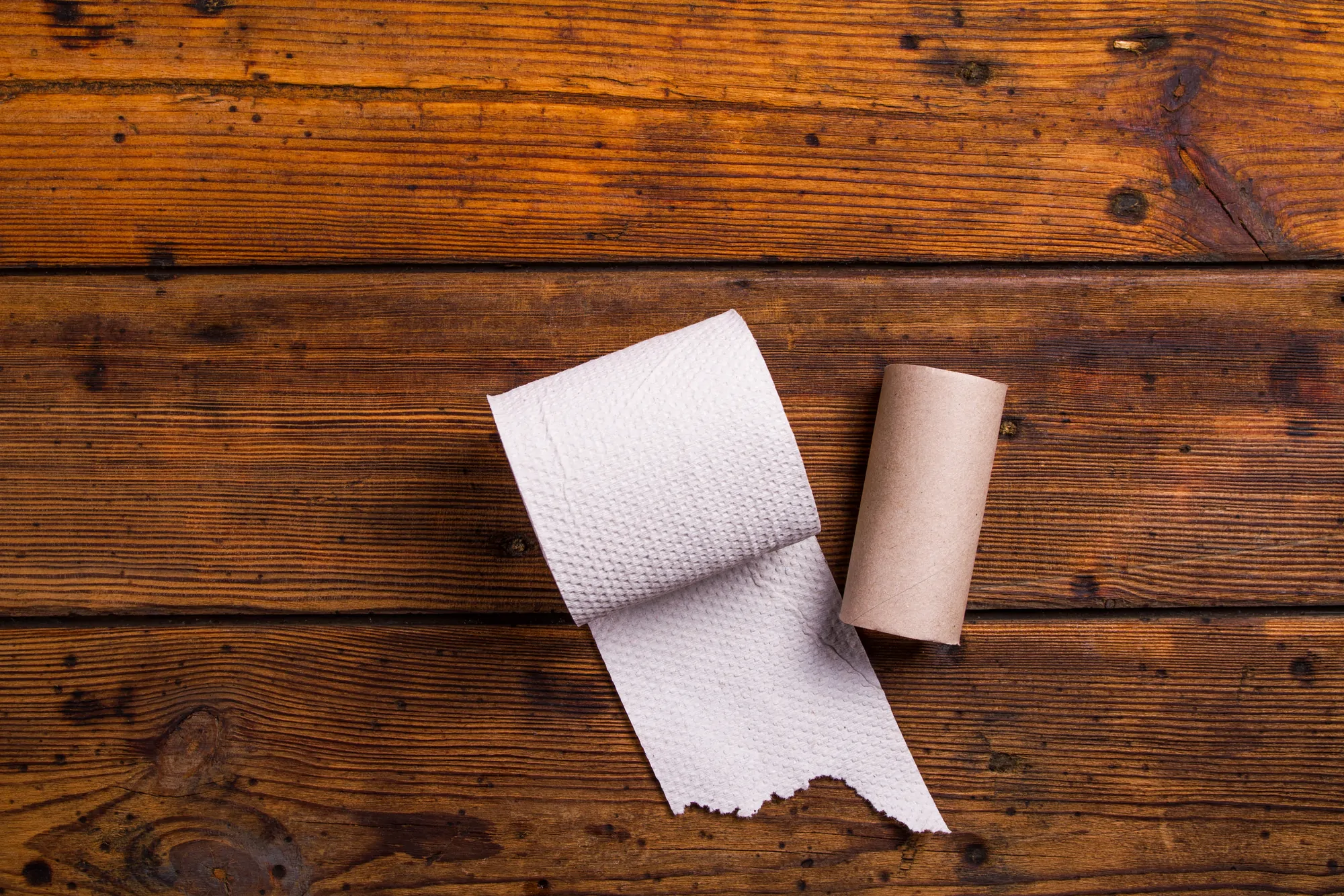 How Toxic Is Your Toilet Paper? Investigation of Brands