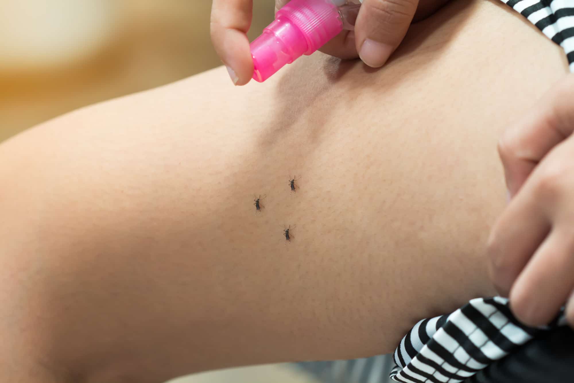 women spraying insect repellent on mosquito