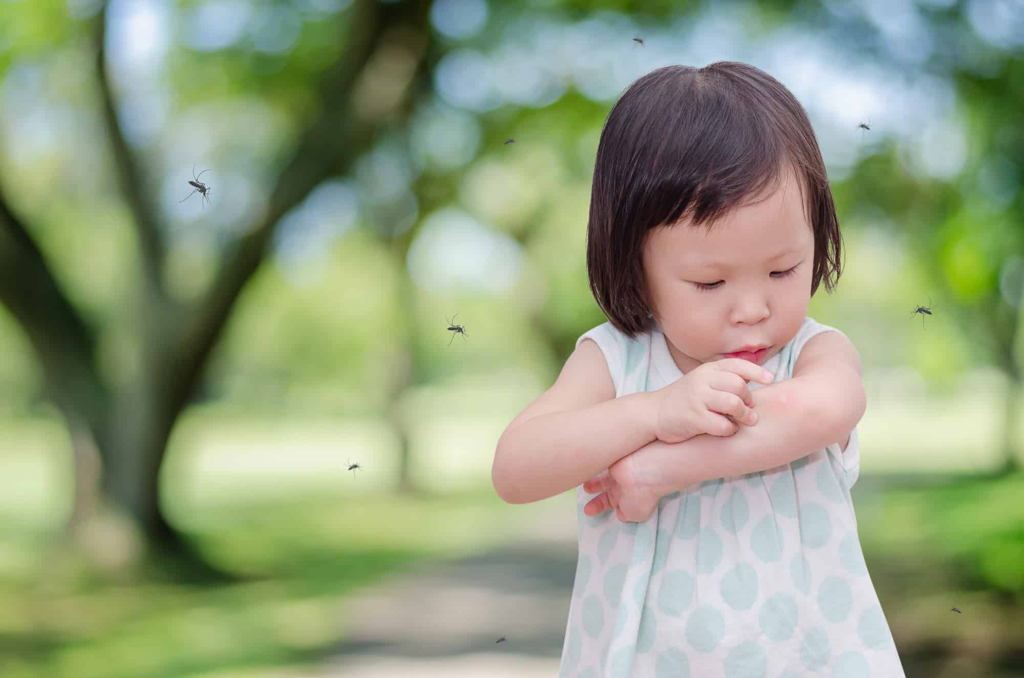 korean child scratching bug bite