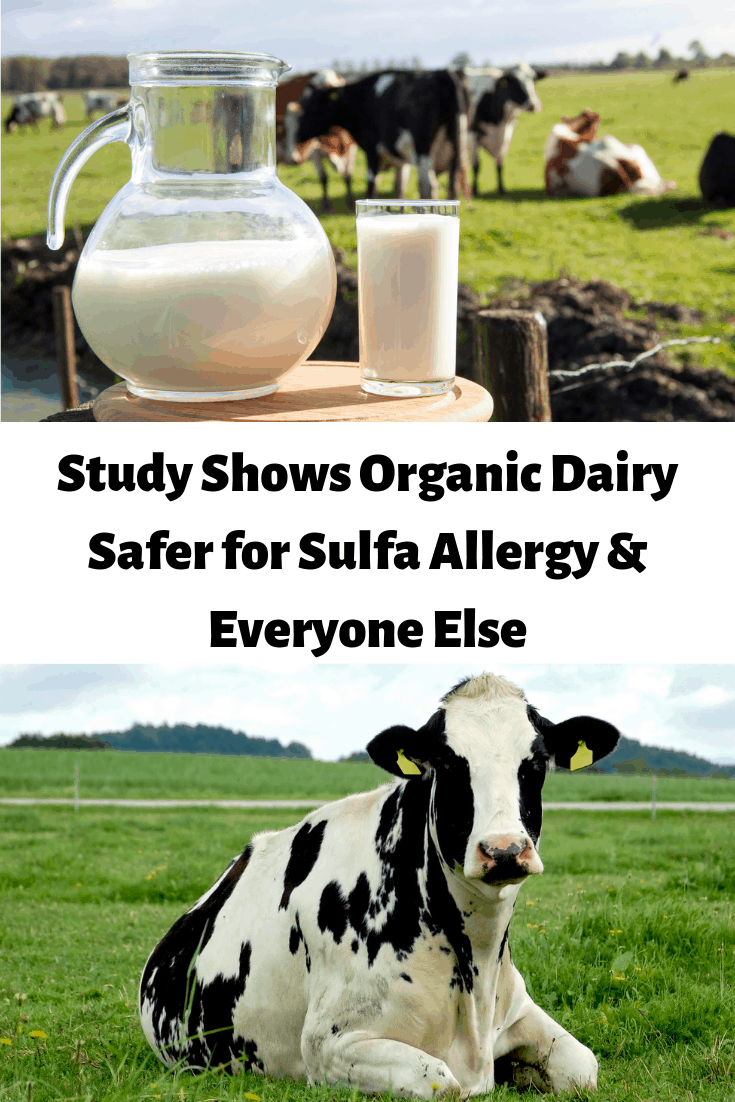 Study Shows Organic Dairy Safer for Sulfa Allergy Sufferers & Everyone Else