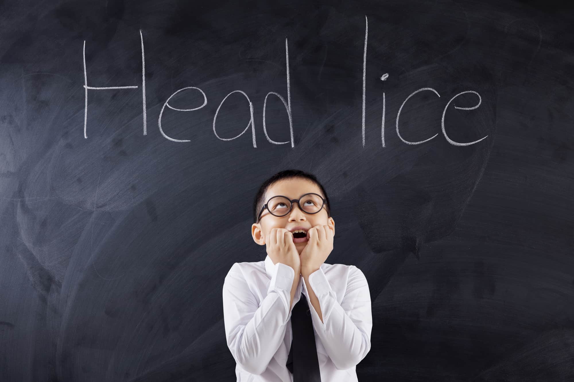 Portrait of a scared male student standing in the classroom while looking at text Head Lice on the chalkboard
