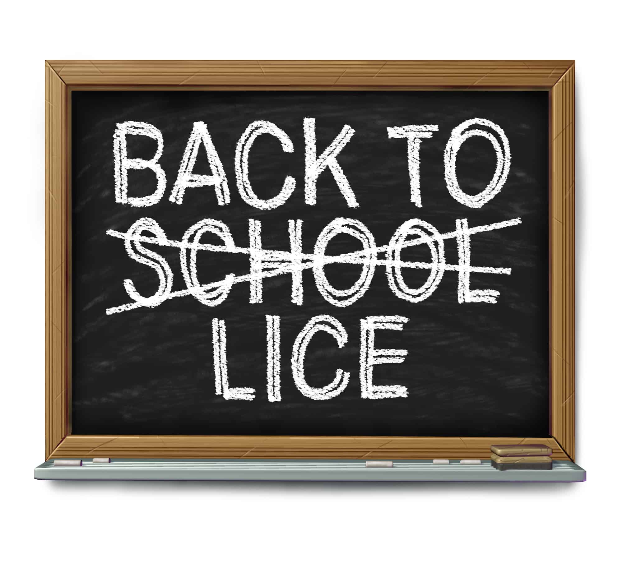 back to school lice written on chalkboard