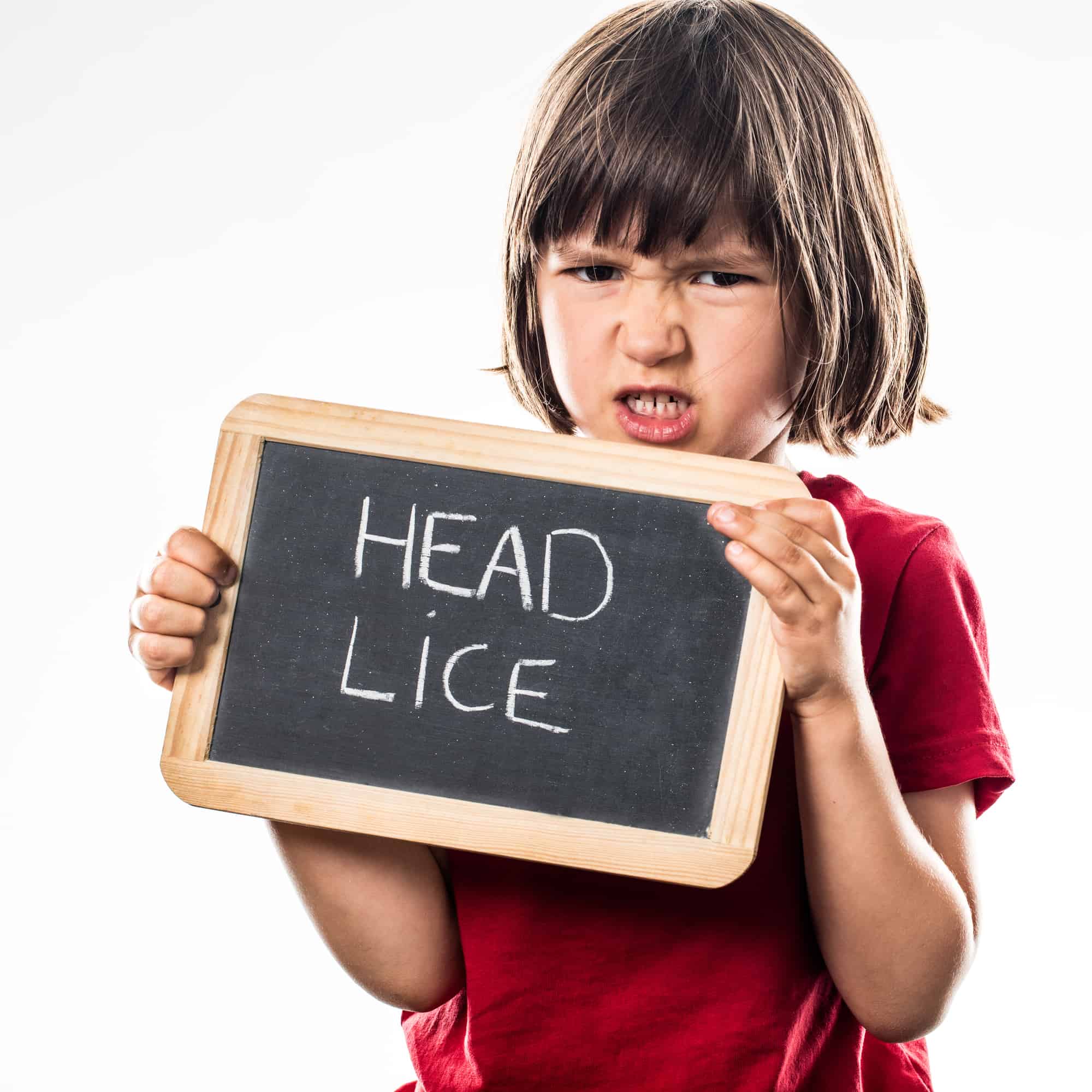 angry young child holding a school slate as a protection shield against head lice