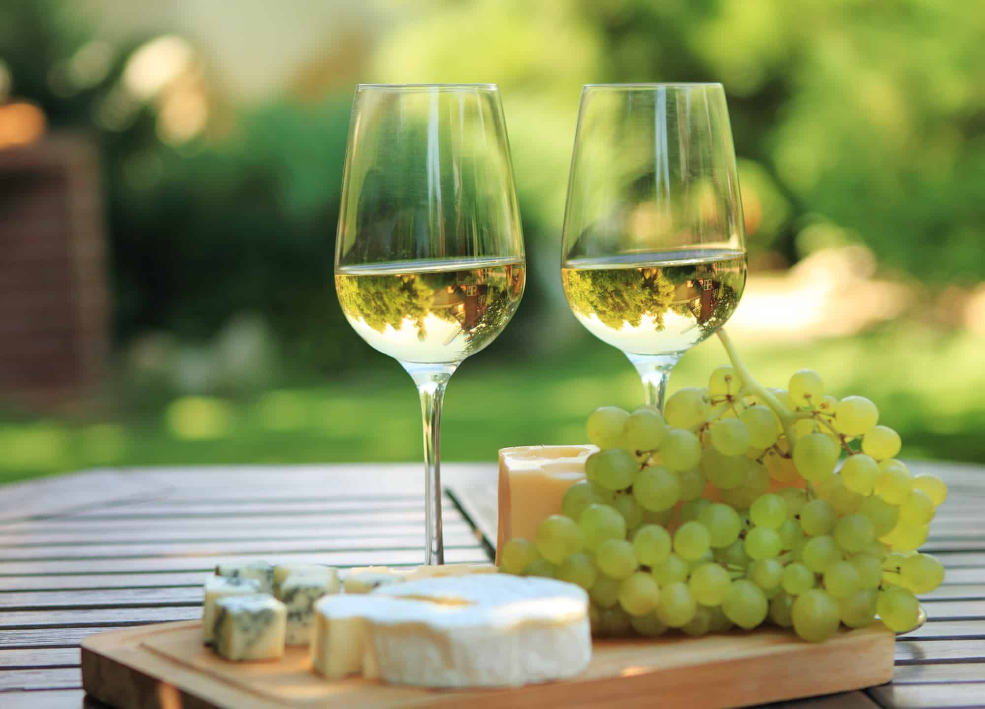 Various sorts of cheese, grapes and two glasses of the white wine