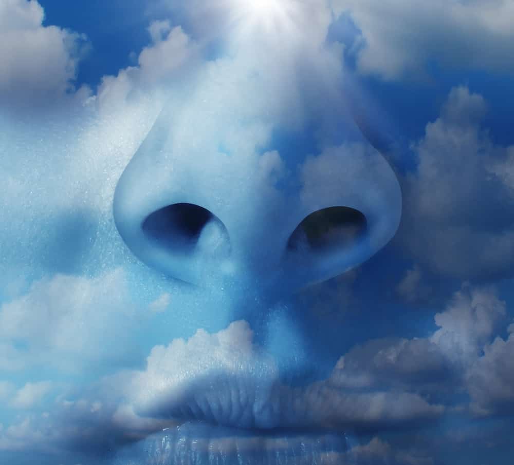 Clean air environment concept with a close up of a human nose with a natural blue sky and clouds texture as a symbol of respiratory illnesses and environmental health concerns in regards to airborne pollution and greenhouse gases.