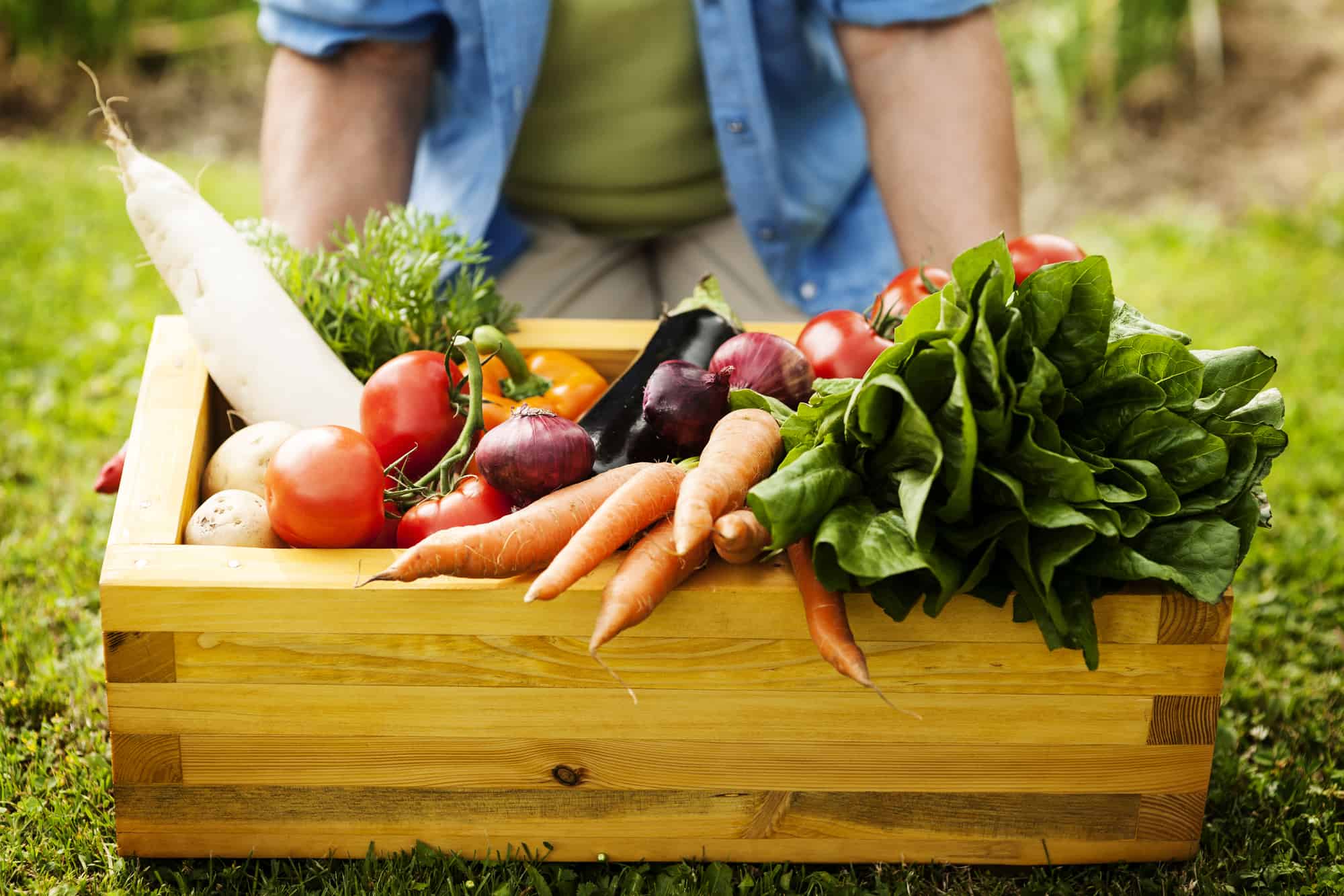 Organic-Friendly Pesticides & Herbicides for Your Vegetable Garden