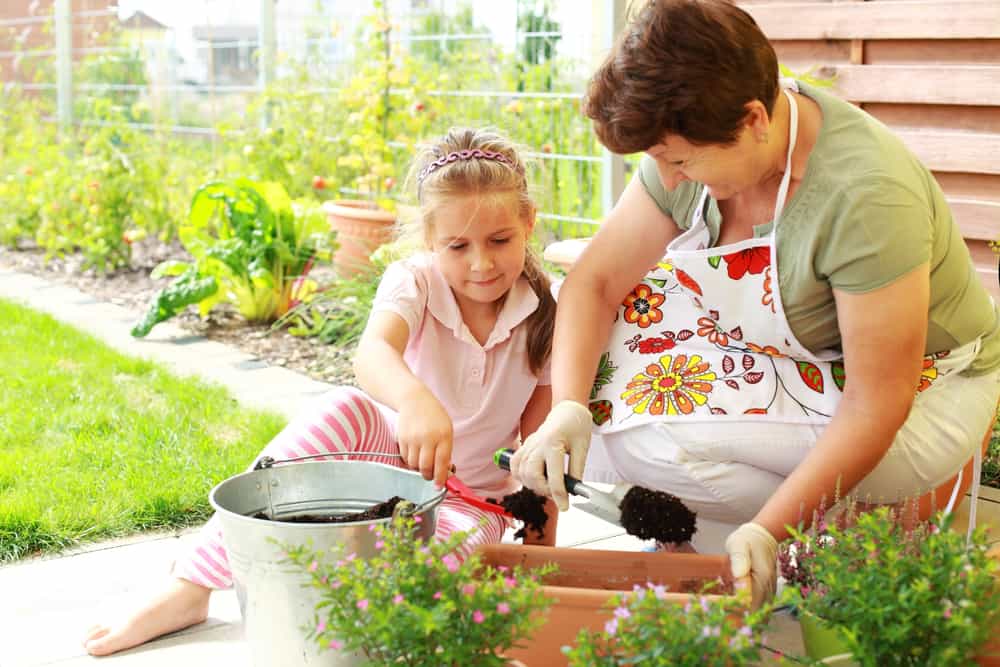 Elderly woman and child replanting flowers for better growth