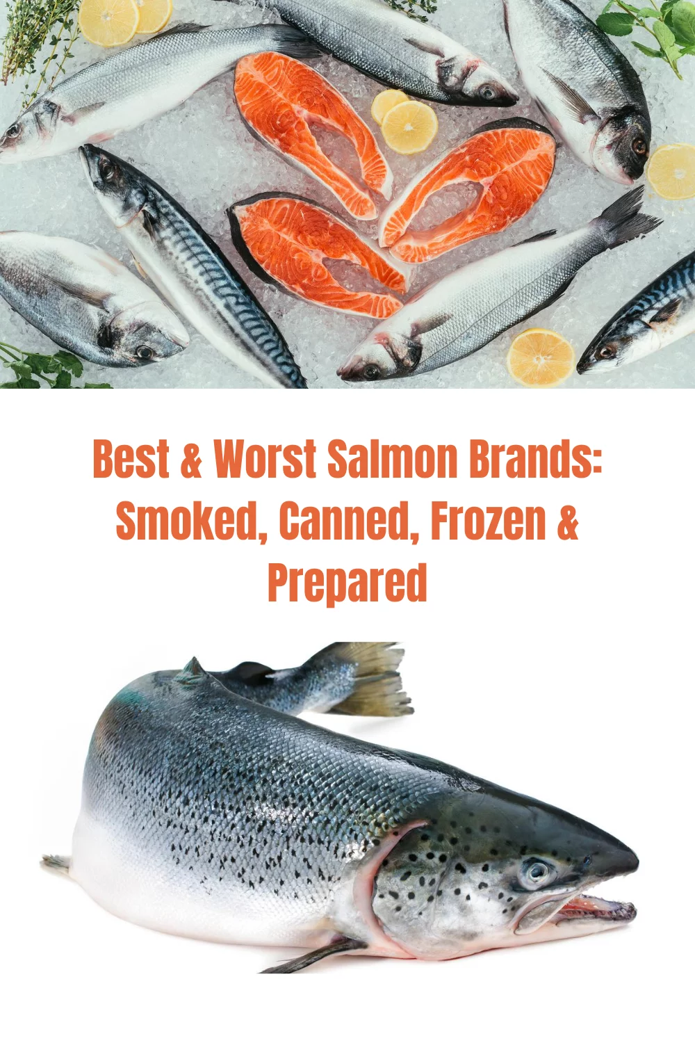 Best & Worst Salmon Brands--Smoked, Frozen, Canned & Prepared 1