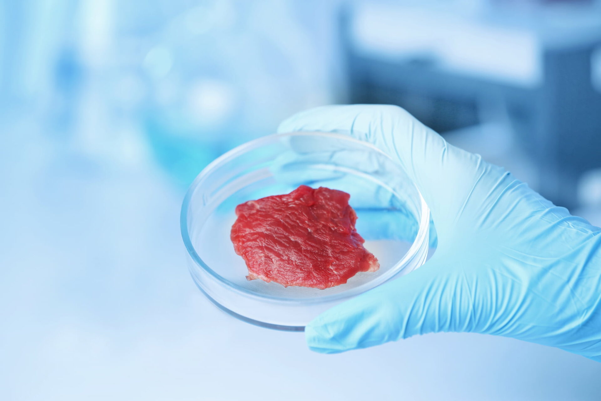 Scientist holding Petri dish with meat sample at laboratory