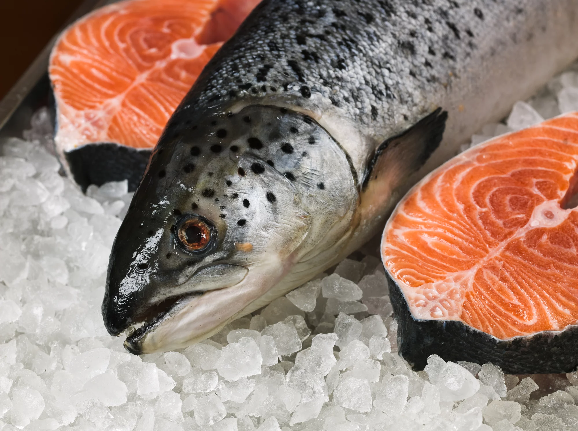 Best  Worst Salmon Brands: Smoked, Frozen, Canned  Prepared