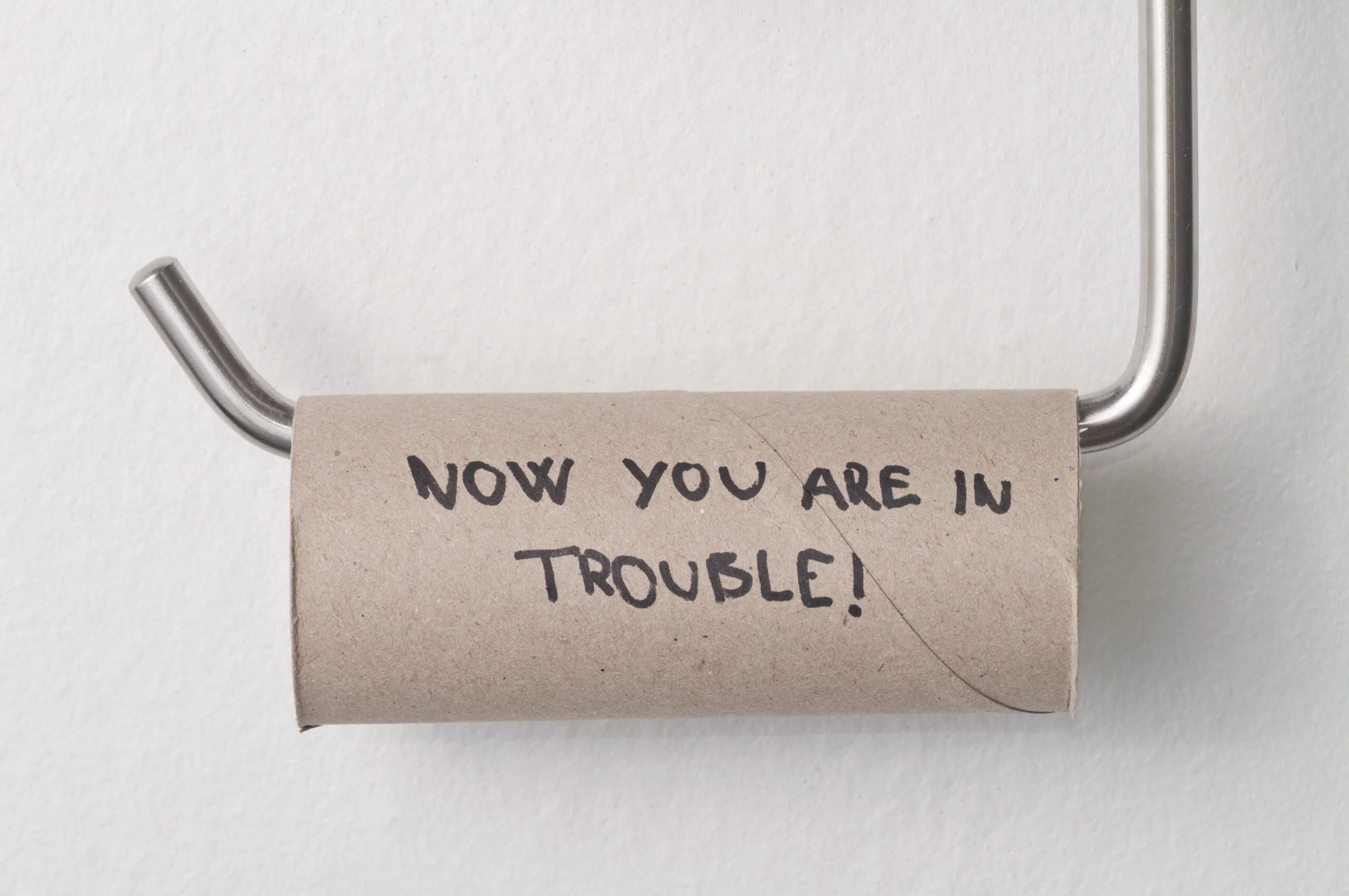 Now you're in trouble toilet paper roll