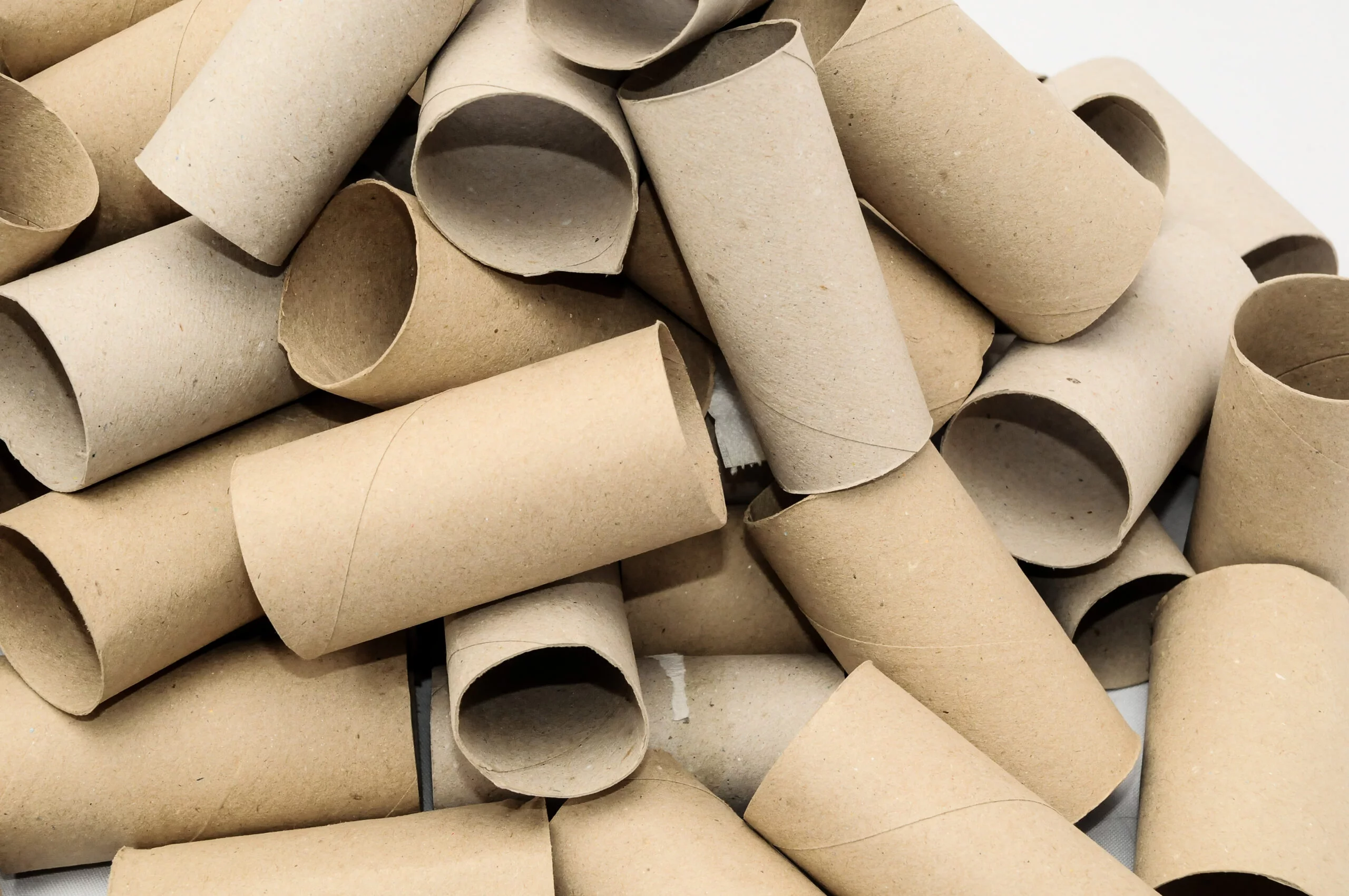 dozens of toilet paper rolls