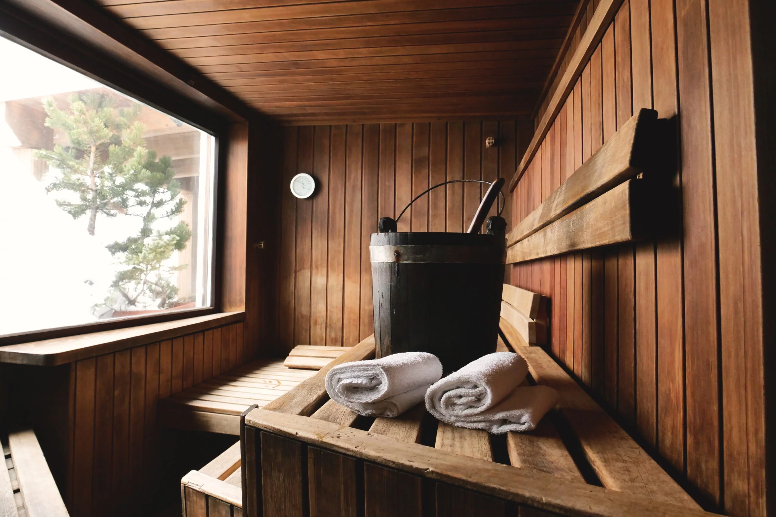 Best & Worst Non-Toxic Infrared Saunas For Indoor Air Quality & Sustainability 2021 1