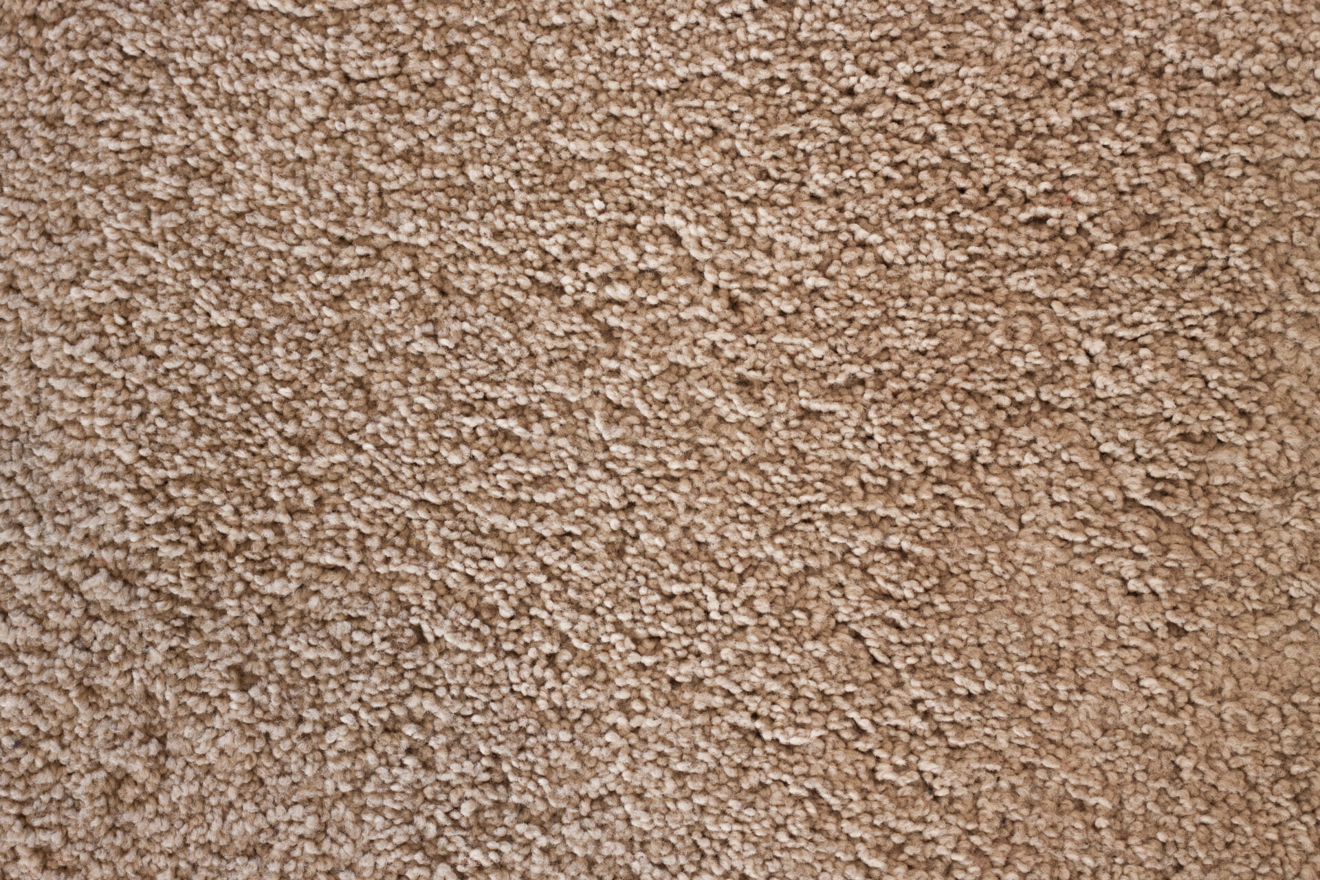 Detail of soft wool carpet