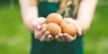 woman holding eggs on organic farm