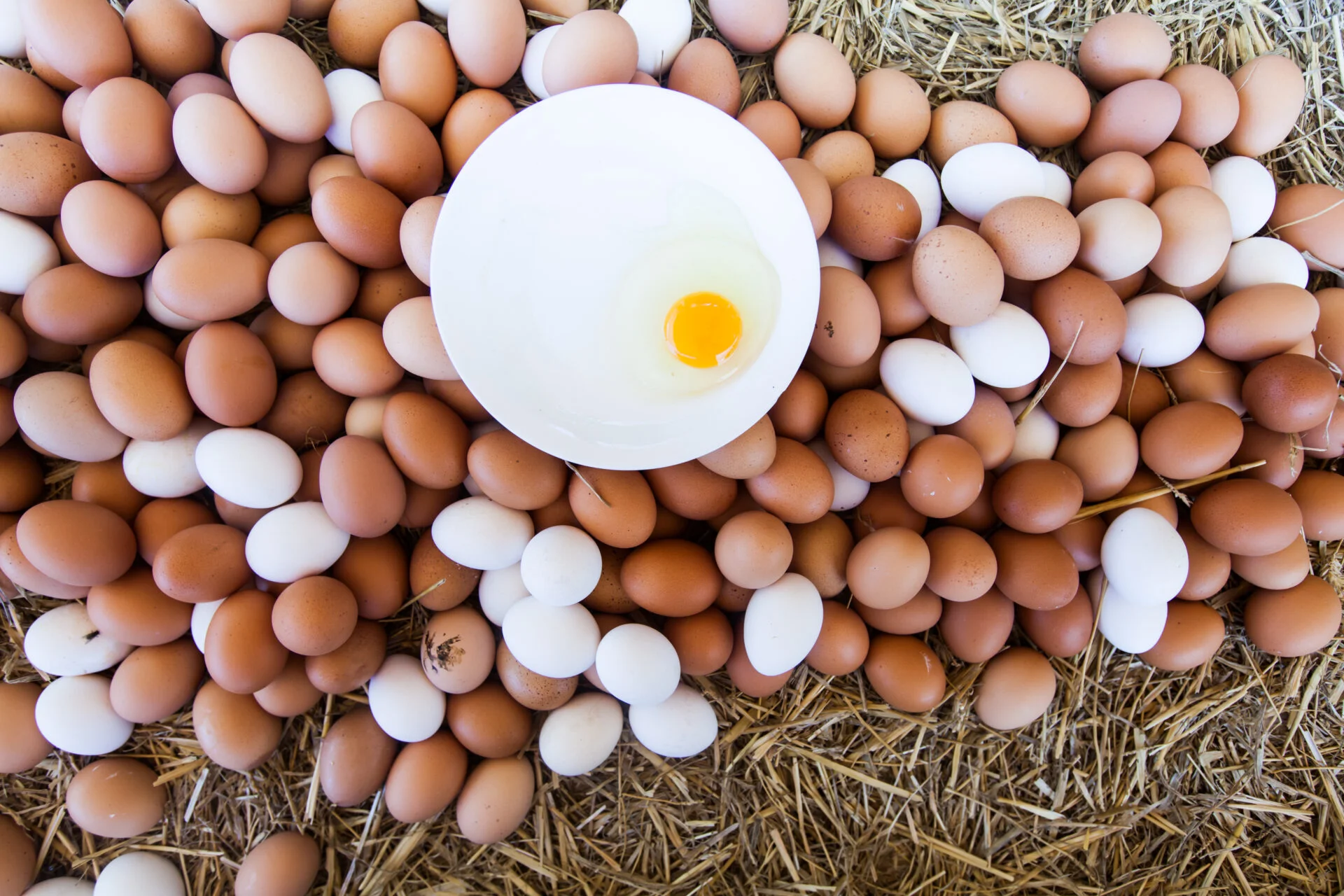 Fresh Domestic Eggs On Local Farmers Market Ready For Sale